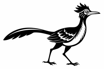roadrunner line art silhouette vector illustration