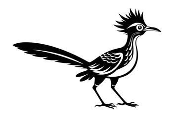 roadrunner line art silhouette vector illustration