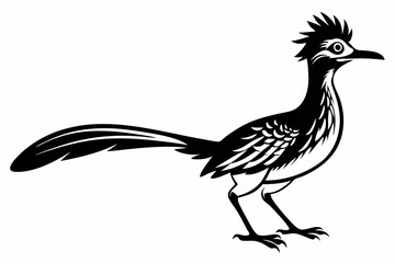 roadrunner line art silhouette vector illustration