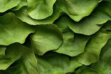 Obraz premium Overlapping Green Leaves Pattern Background Fresh and Natural Aesthetic