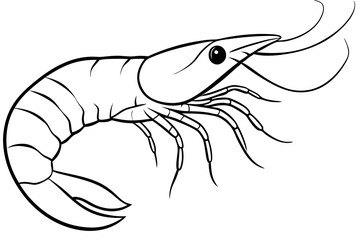 shrimp line art silhouette vector illustration