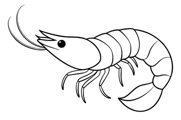 shrimp line art silhouette vector illustration