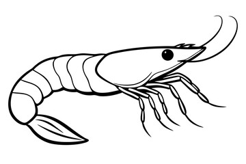 shrimp line art silhouette vector illustration