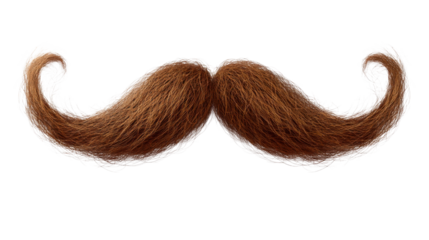 gold beard brown color isolated on white background