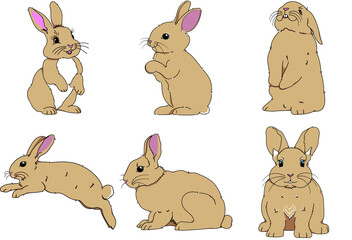 Easter Bunny Set, cute rabbit decorations, suitable for various events, making logos, backgrounds or decorating backgrounds.