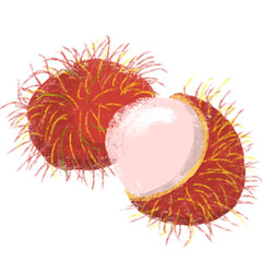 Rambutan vector with a white background 