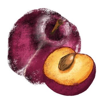 purple plum fruit, cut, white background clip art preview