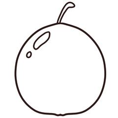 vector illustration of a passion fruit