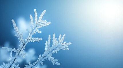 Fototapeta premium Closeup of frosty winter branches against serene blue sky backdrop frosty