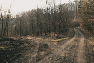 Exploring roads less ridden, little adventures around hometown