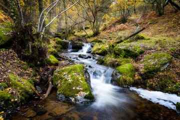 Otoño en el arroyo del Sestil