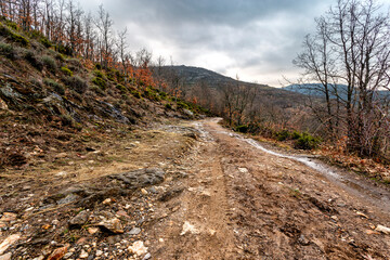Camino embarrado en la Sierra de Ayllón