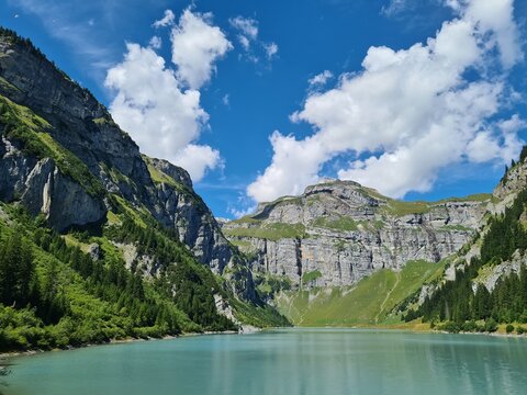 Something against the November dreariness