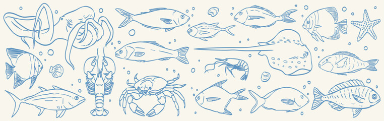 Hand drawn isolated vector set of seafood. Shrimps, prawns, salmon, trout, lobster, stingray and crab. Vintage illustrations for cafe or restaurant menu, kitchen poster or placard. Seafood market.