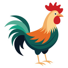 Farm Rooster in Natural Pose Isolated on White Background