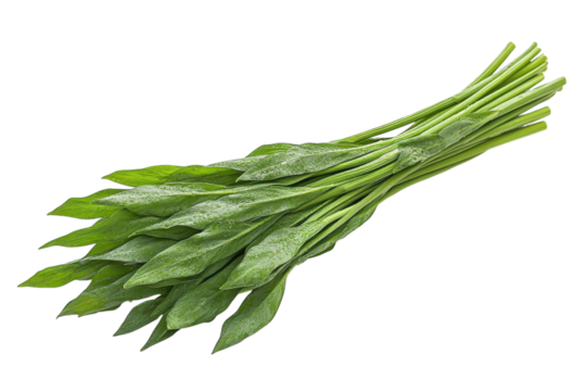 A Vibrant Bunch Of Fresh, Dew-kissed Greens, Ready For Culinary Adventures, Showcasing Their Lush Green Color Against A Pure Isolated on Transparent Background