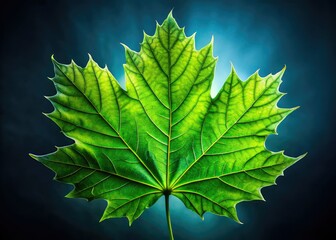 A glowing green maple leaf, sharply focused against a dark autumn night. Macro photography captures fall's beauty.