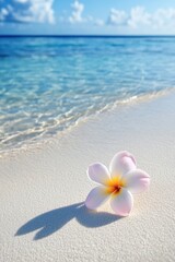 Fototapeta premium A lovely plumeria flower is delicately placed on soft beach sand with gentle waves in the background.