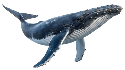 Whale. PNG. Generative Ai.