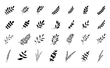Simple summer, spring branches with leaves. Botanical elements. Floral branch set. Minimalist black silhouette. Flower logo design element. Elegant twig decoration set. Plant icons. Hand drawn black l