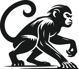 monkey ready to pounce