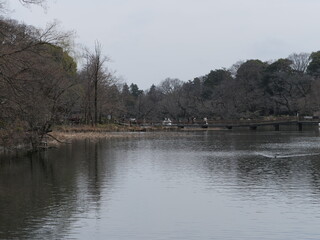 井の頭公園の風景