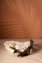 Composition empty podium material eucalyptus stone dry flowers glass. Product presentation. Background mocha ?olor. Beautiful background from natural materials