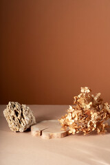 Composition empty podium material eucalyptus stone dry flowers glass. Product presentation. Background mocha ?olor. Beautiful background from natural materials