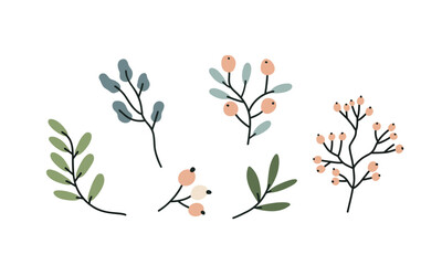 Set of hand drawn botanical elements on a white background. Vector illustration for design, flat style.