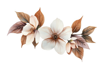 Fototapeta premium Elegant watercolor magnolia arrangement with leaves, cut out