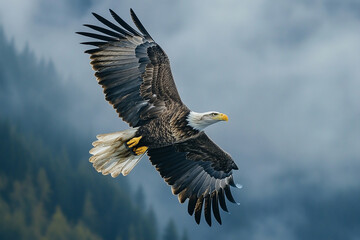 Obraz premium Eagle soaring high over a misty forest landscape