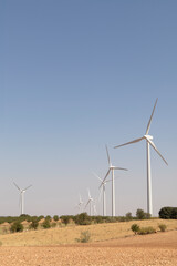 row of windmills in crop fields