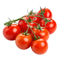 tomatoes on white background