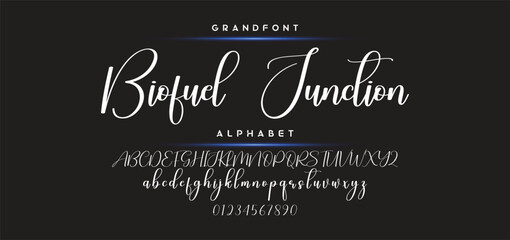 Hand drawn calligraphic vector monoline font. Distress signature letters. Modern script calligraphy type. ABC typography latin signature alphabet.