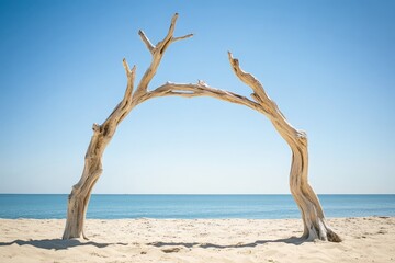 A driftwood arch frames a serene beach with blue sky