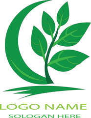 Leaf logo icon vector .