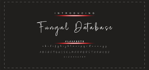 Hand drawn vector alphabet. Modern monoline signature script font. Elegant Signature Font. Best Alphabet Beautiful Calligraphy Signature Font