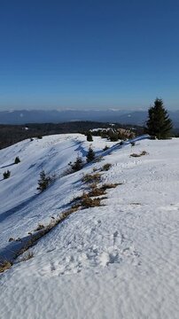 Footage Full HD 1080x1920 vertical frames, portrait mode, winter landscape with snow
