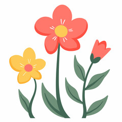 Colorful spring flowers on white background, floral design concept