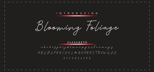 Hand drawn calligraphic vector monoline font. Distress signature letters. Modern script calligraphy type. ABC typography latin signature alphabet.