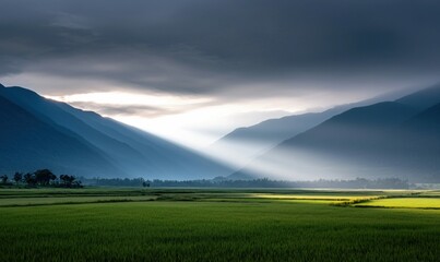 Fototapeta premium Sunbeams pierce through the clouds over vast rice fields nestled between majestic mountains.