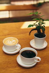 ガジュマルとコーヒー