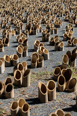 bamboo mug tray container by cutting the bamboo into smaller pieces tube placing on the ground as...