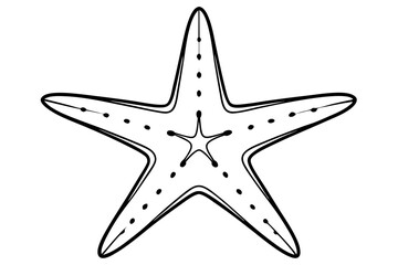 starfish line art silhouette vector illustration
