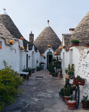View of trulli houses with cone roofs and potted plants in a quaint alley, Alberobello, Italy.