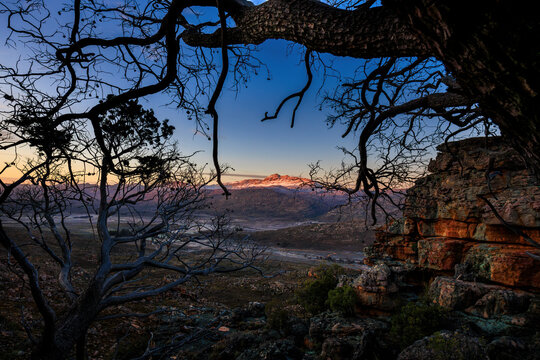View of rugged mountains and cederberg cedar trees at sunset with dramatic rock formations, Driehoek Farm, Cederberg, Western Cape, South Africa.