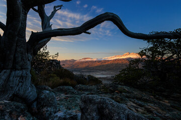 View of serene sunset over rugged mountains with endangered cedar trees and dramatic rock formations, Driehoek Farm, Cederberg, Western Cape, South Africa.