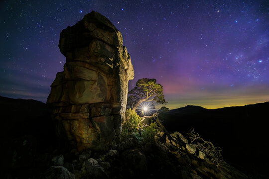 View of starlit night sky over majestic rock formation and cederberg cedar tree, Driehoek Farm, Cederberg, Western Cape, South Africa.