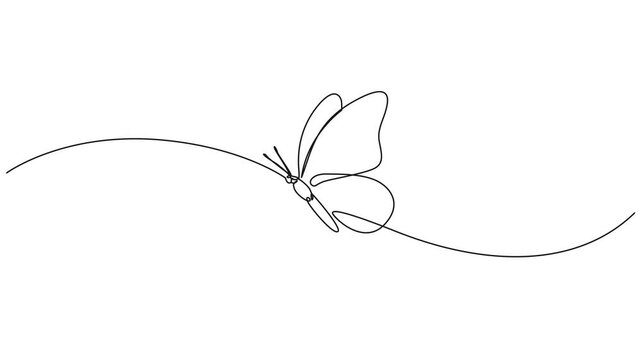 animated continuous single line drawing of a flying butterfly, line art animation