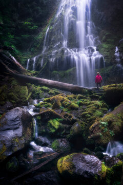 View of cascading Proxy Falls surrounded by lush forest and mossy rocks, McKenzie Bridge, Oregon, United States.